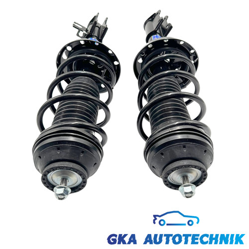 Stoßdämpfer federbein - 2x,